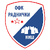 Radnicki Nis U19